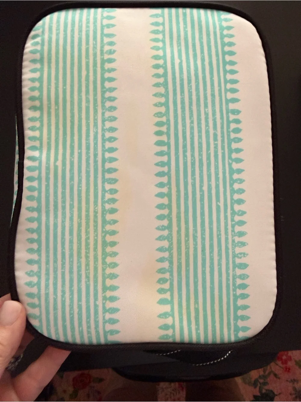 SCOUT the brand new Ferris Cooler Lunch Box with mint and white stripes. NWT!